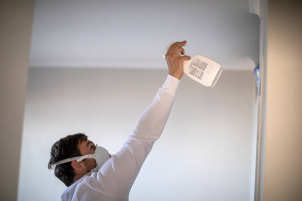 Best Crawl Space Mold Removal  in West Whittier Los Nietos, CA