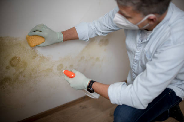 Best Mold Testing  in West Whittier Los Nietos, CA